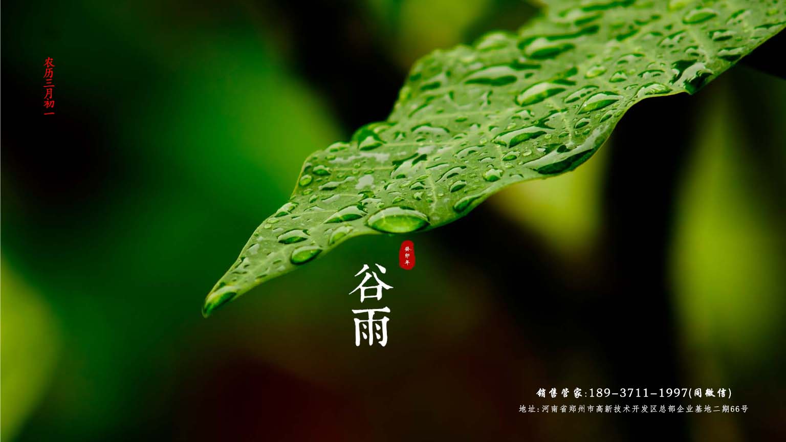 好雨生百谷 谷雨润万物